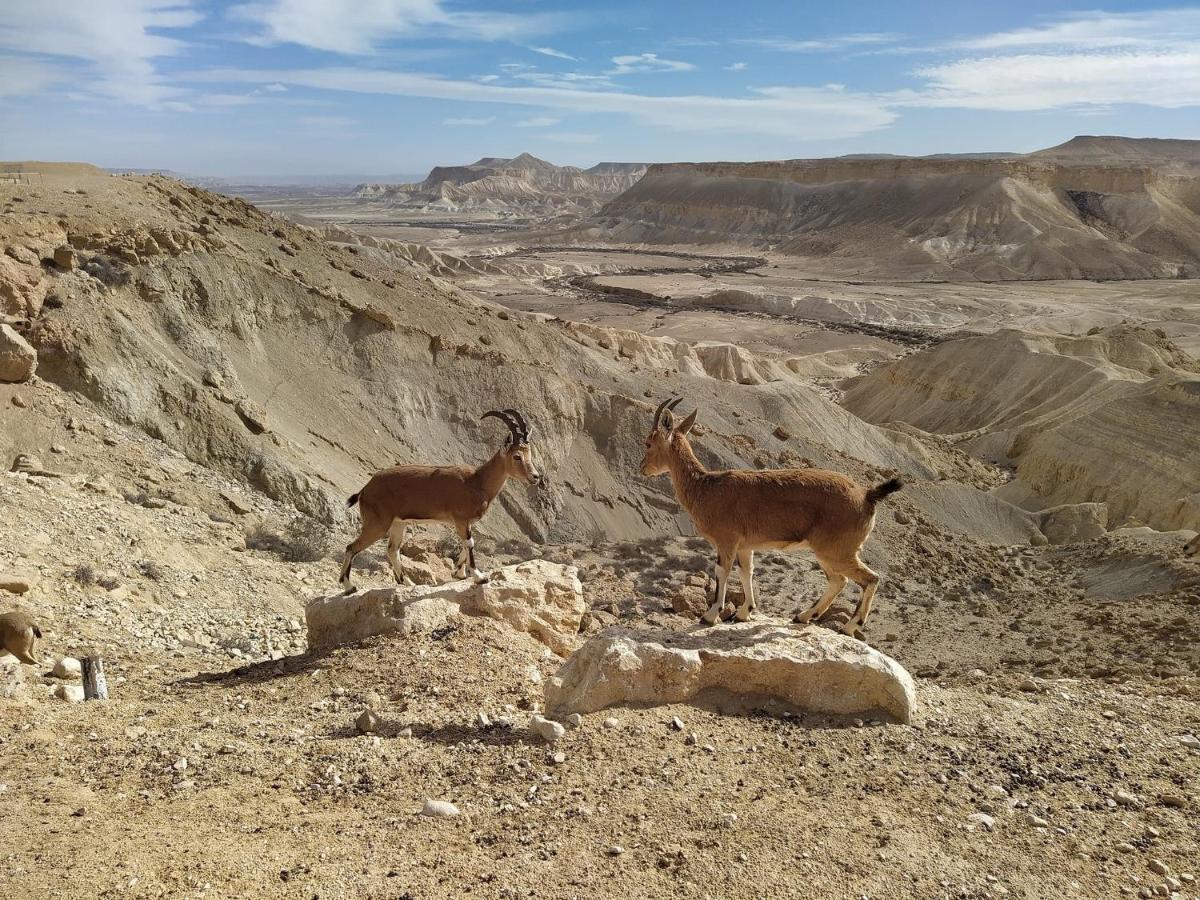 Glezant Διαμέρισμα Mitzpe Ramon Εξωτερικό φωτογραφία